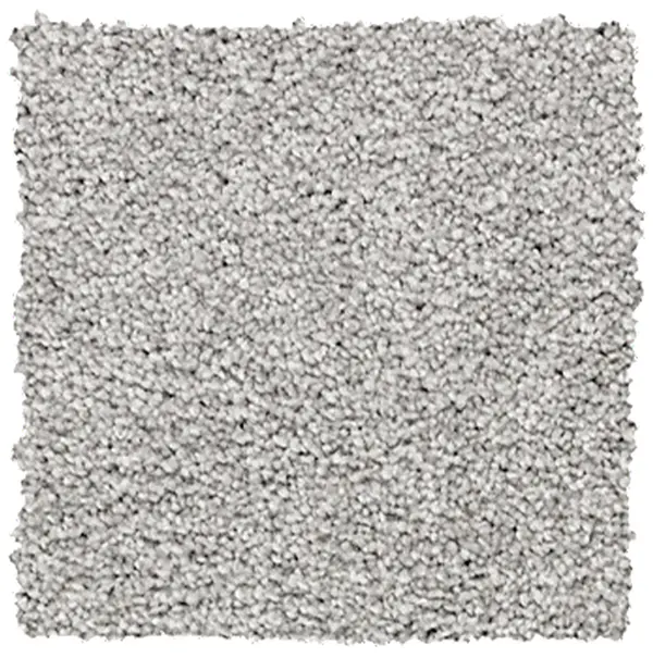 Plush Carpet Plush Carpet
