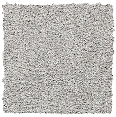Plush Carpet Sample
