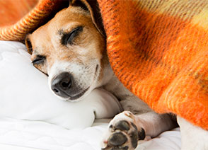save on heating bill