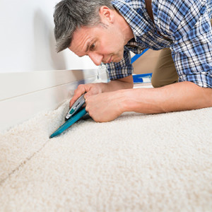 bcf polyester carpet