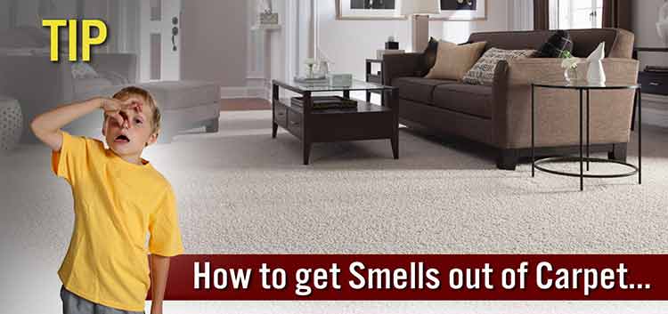 how to get smell out of carpet