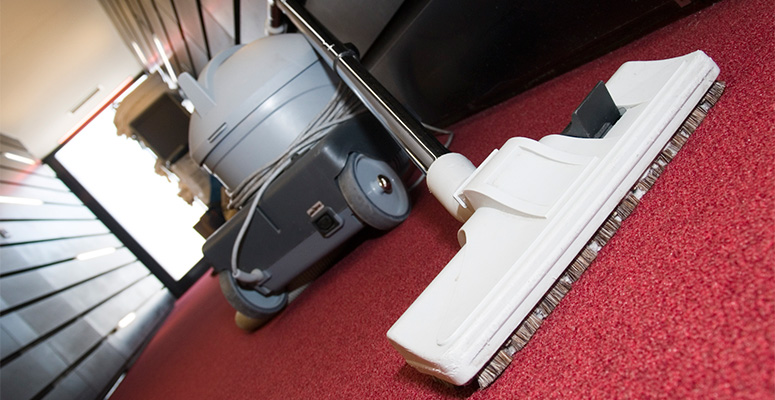 how to get the pee smell out of carpet