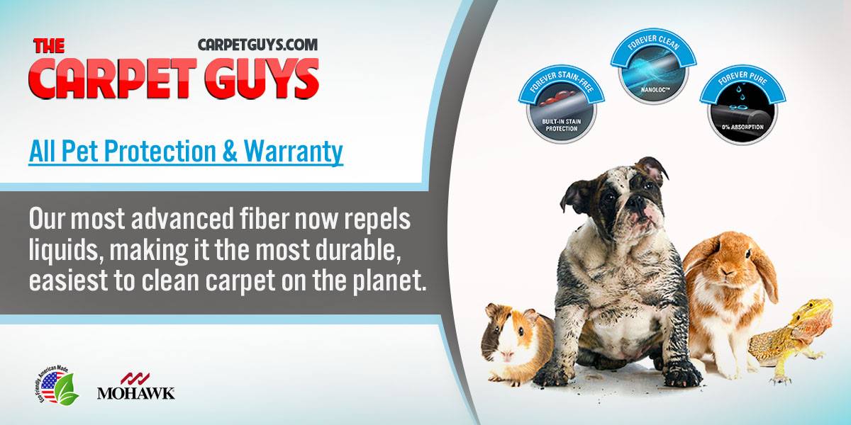do carpets have warranties