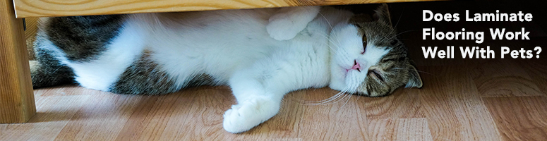 pet-friendly laminate flooring