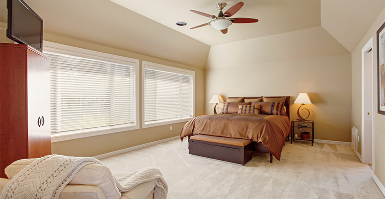 dreamweaver puresoft carpet