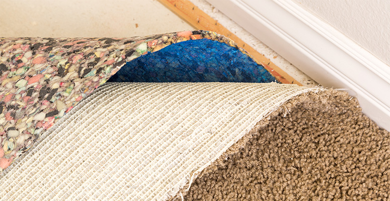 carpet cushions