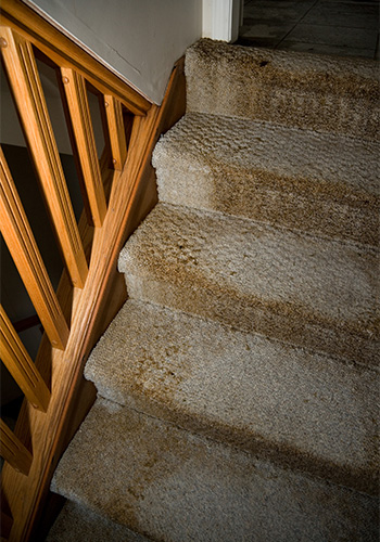 water damaged carpet insurance claim