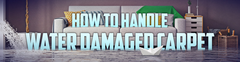 how to get water out of carpet