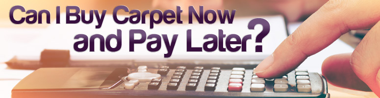carpet on finance