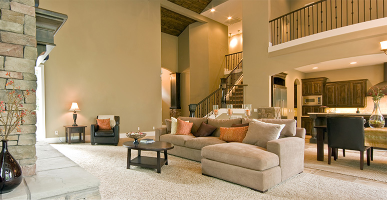 carpet features