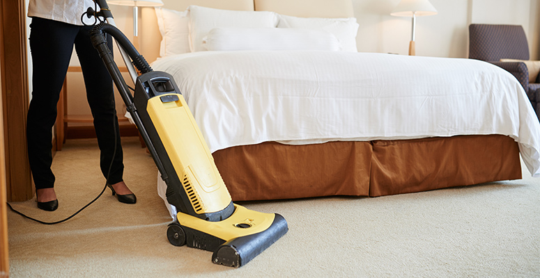 how to prevent carpet allergies