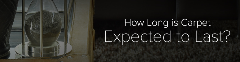 lifespan of new carpeting