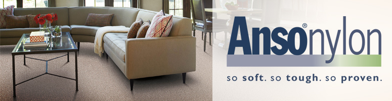 shaw anso nylon carpet review