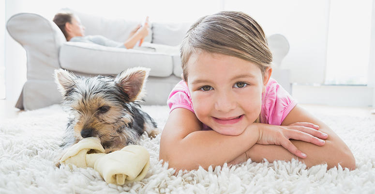 signs of cheap carpet