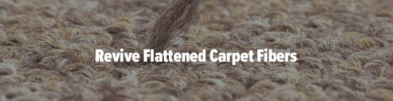 how to prevent carpet dents