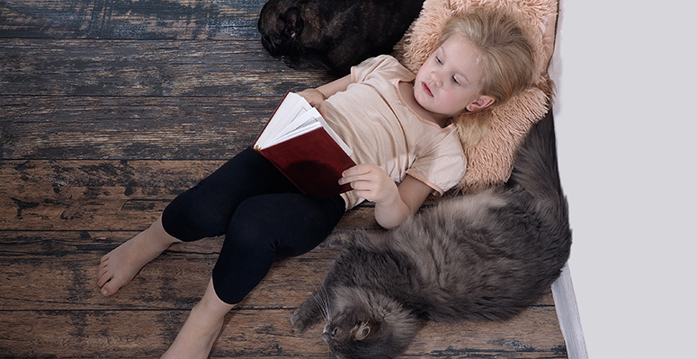 pet friendly vinyl flooring