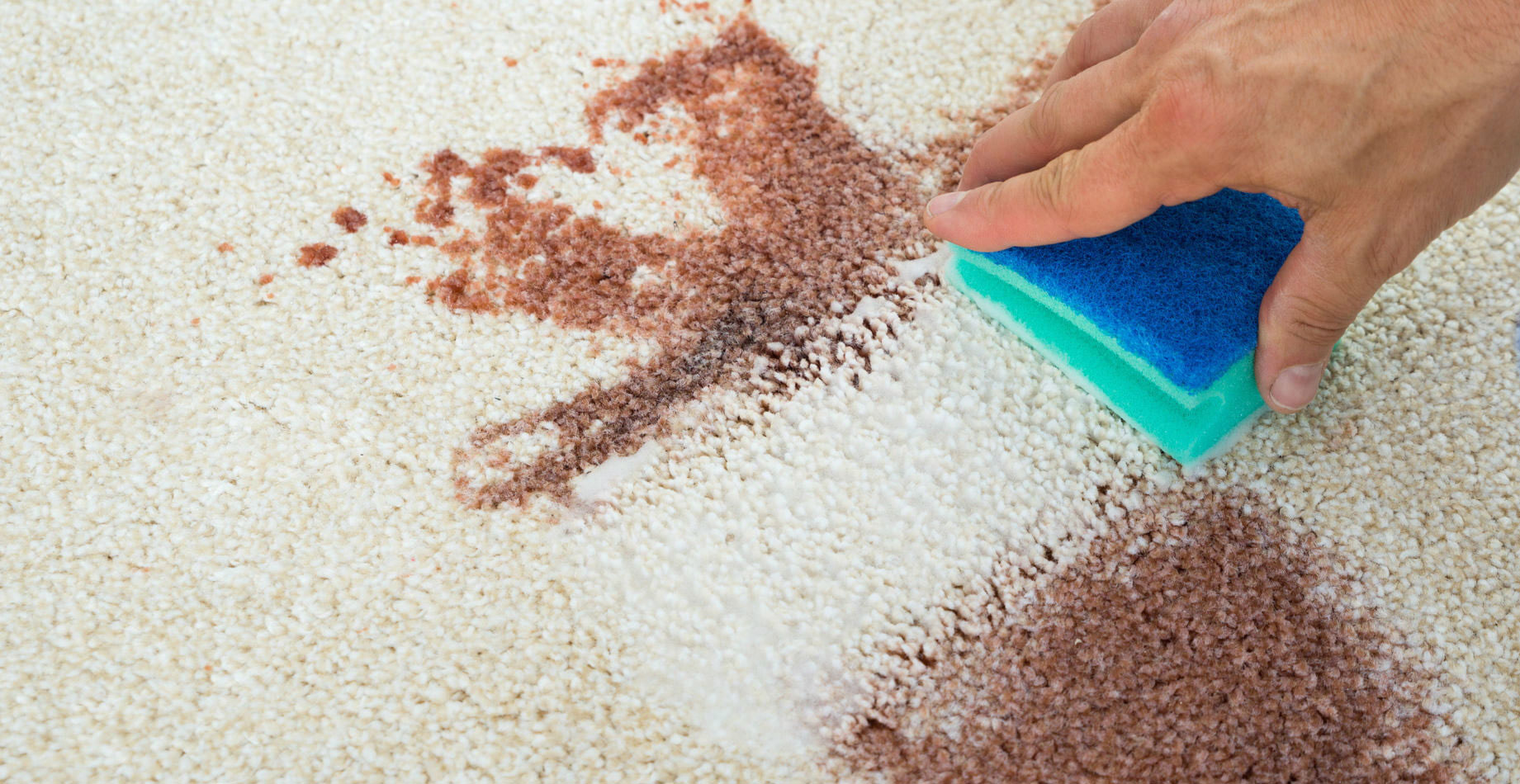 get blood out of carpet
