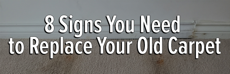 reasons to renew carpet