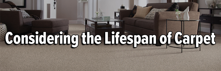 lifespan carpet banner