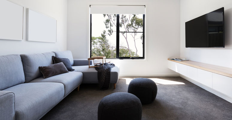 carpet for a forever home