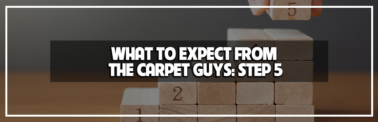 step 5 what to expect from the carpet guys blog banner