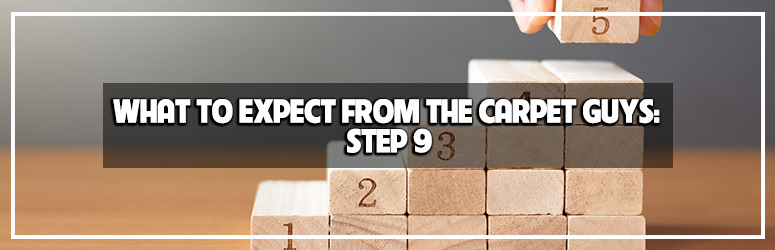 what to expect from the carpet guys step 9 the clean up blog banner