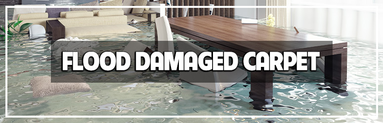 damaged carpet from flood