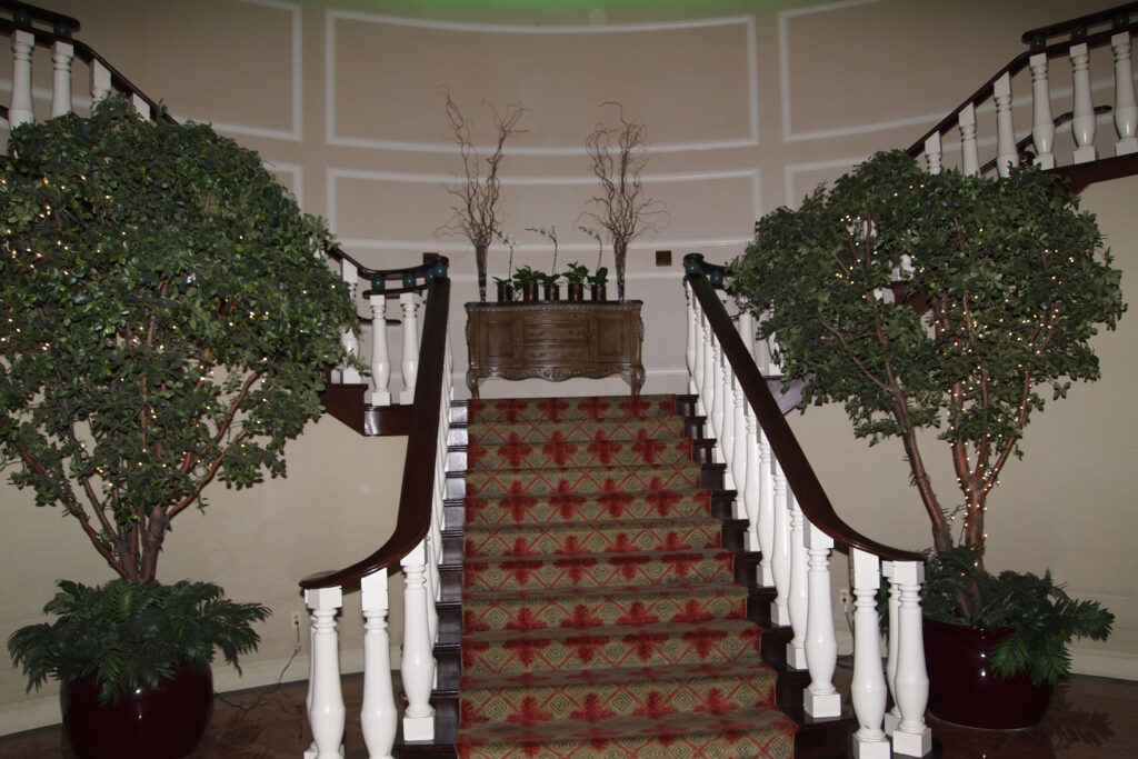 high-quality patterned carpet