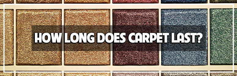 what type of carpet lasts the longest