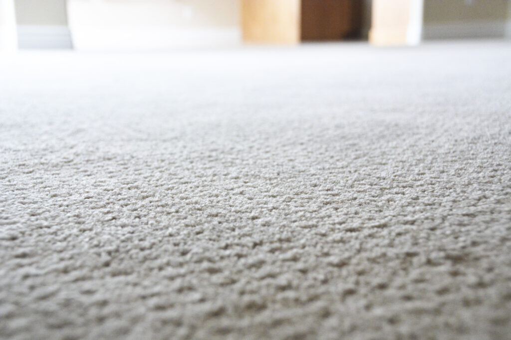 best carpet to stop tracking