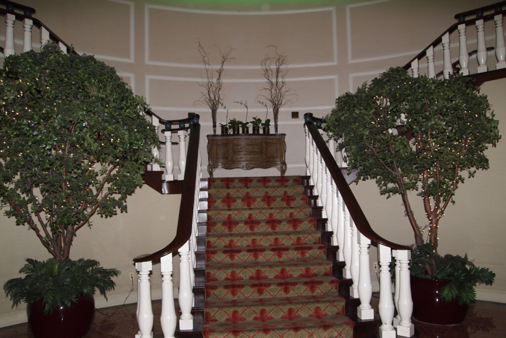 carpet runner on formal stair case