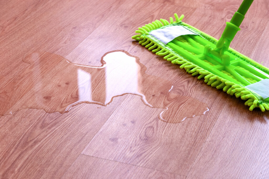 water and dust mop on hardwood floor