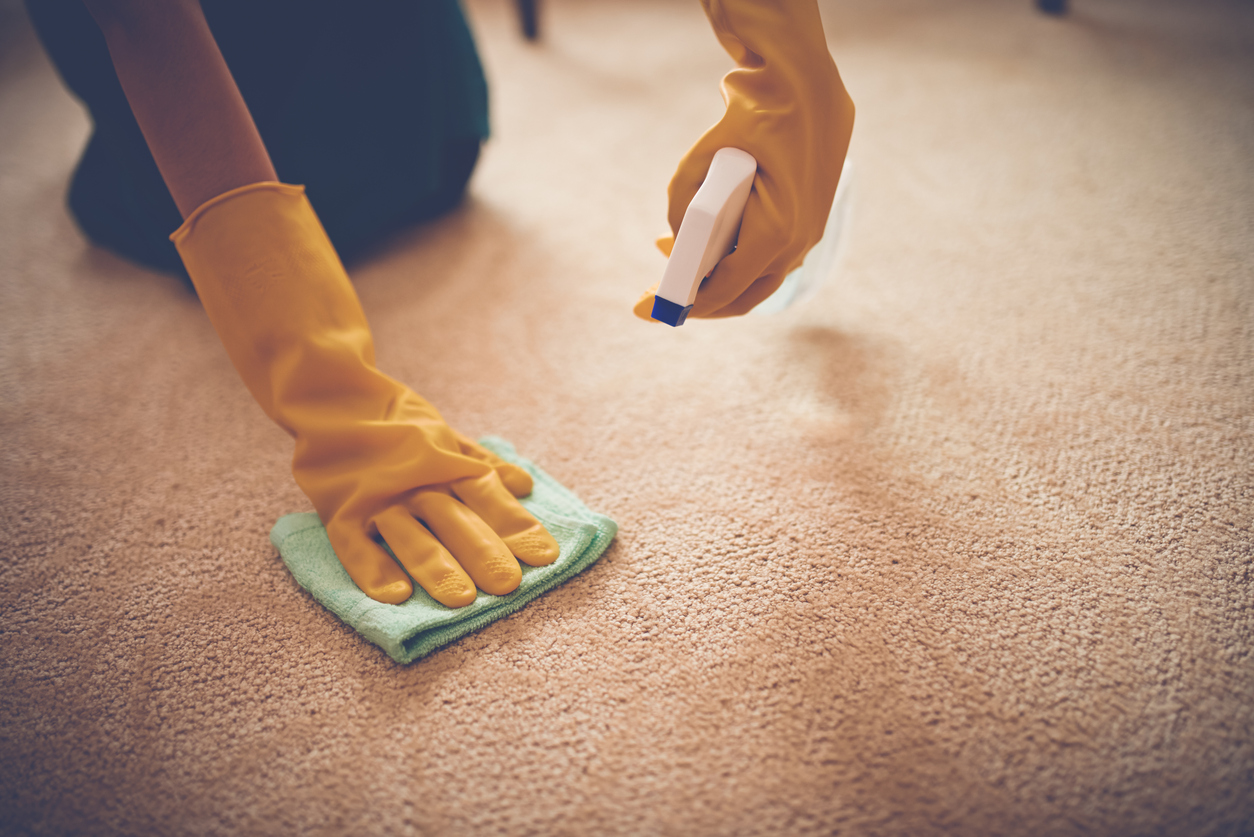 Carpet Stain Removal 101: Expert Tips and Tricks
