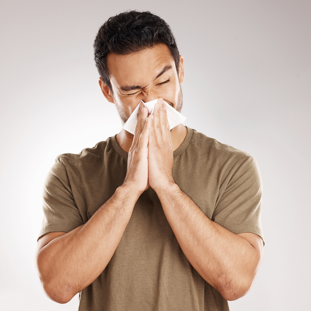 Carpet vs. Hardwood for Allergy Sufferers